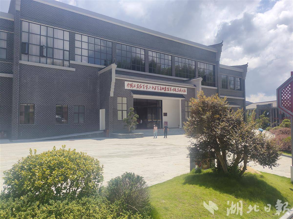 IMG20250729111444.jpg IMG20250729111444.jpg