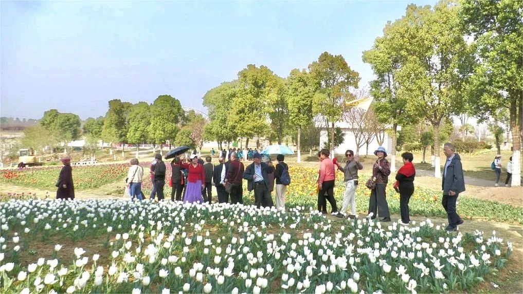 嗨，欢迎回来，惠游安陆！ - 湖北日报新闻客户端