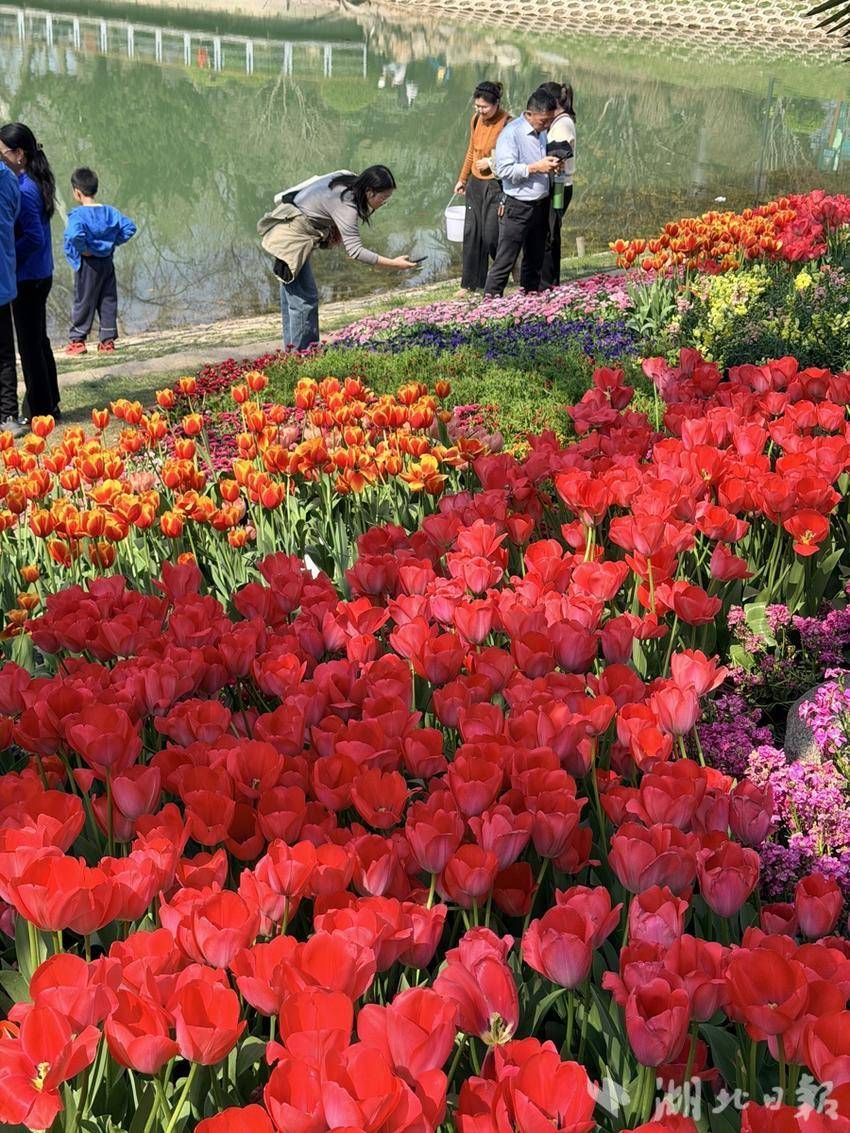 0339e3372075415fddd2f7eea1a3e9f9.jpg 0339e3372075415fddd2f7eea1a3e9f9.jpg