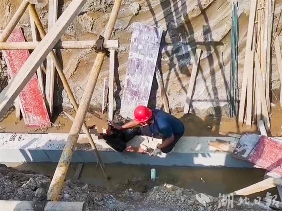 图片6.png 图片6.png