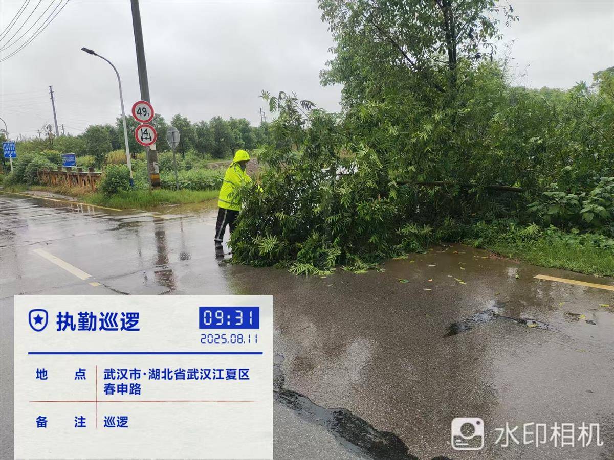 0031697ce917d49b496b7bc732d74cde.jpg 0031697ce917d49b496b7bc732d74cde.jpg