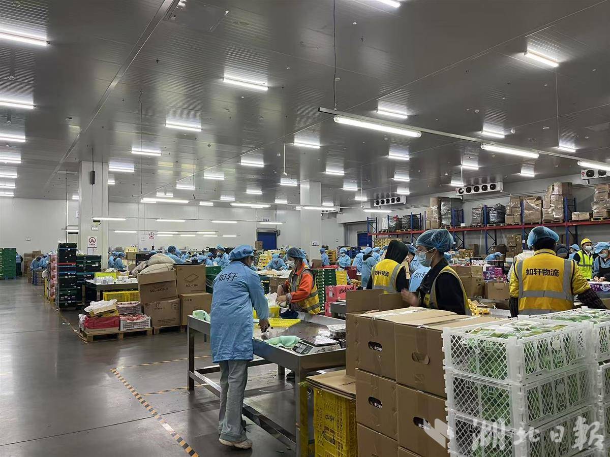 配送仓全景.jpg