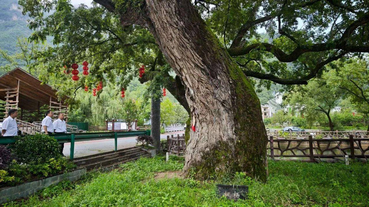 d4a907a9544d0e3f47d2fc7655c07d16.jpg d4a907a9544d0e3f47d2fc7655c07d16.jpg