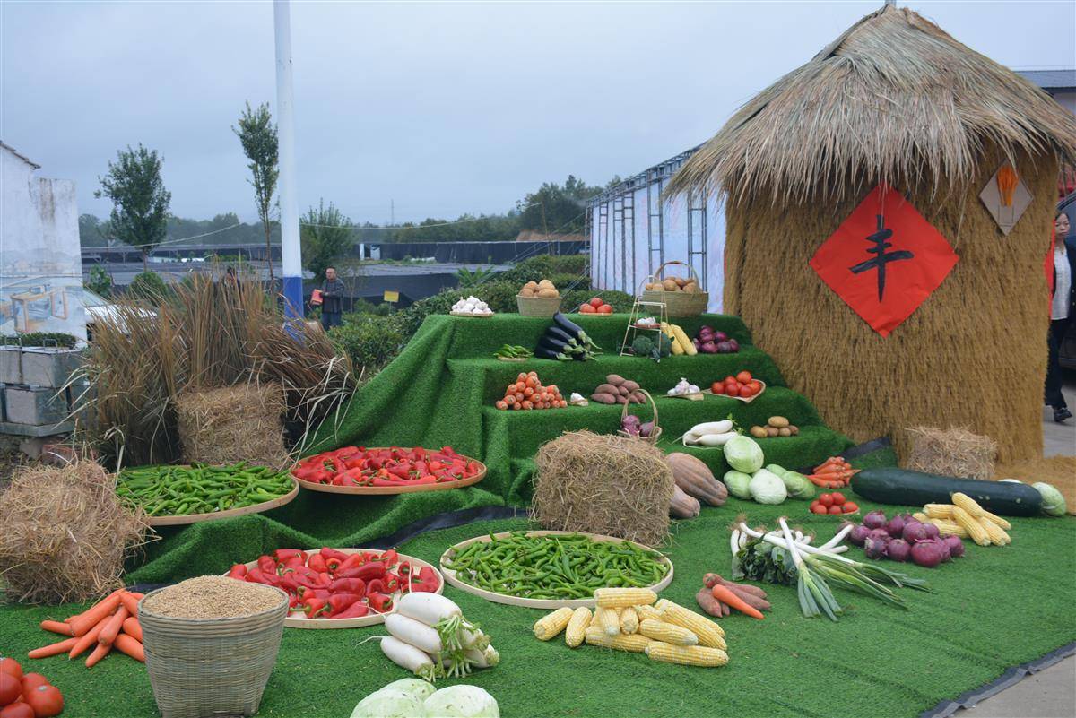 DSC_0542.JPG DSC_0542.JPG