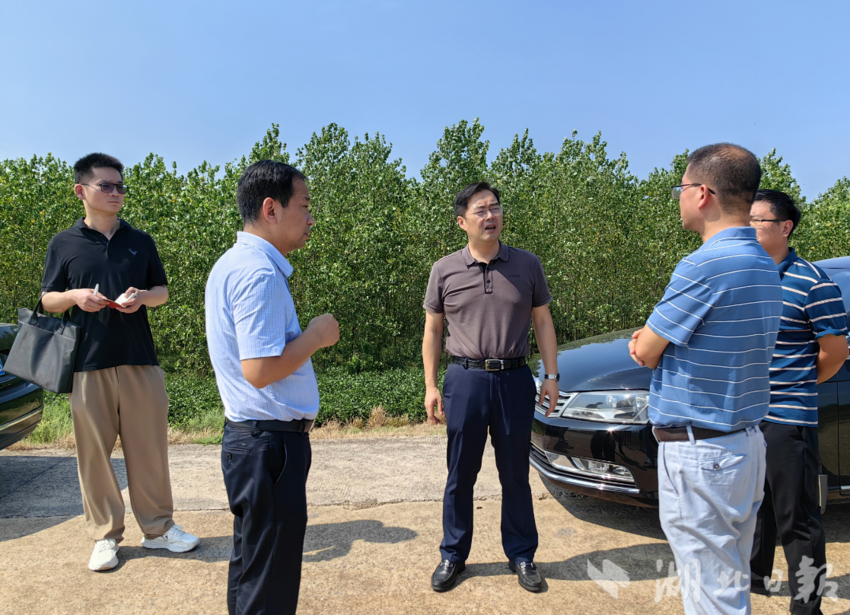 嘉鱼县领导赴簰洲湾镇开展第三季度县级林长巡查工作