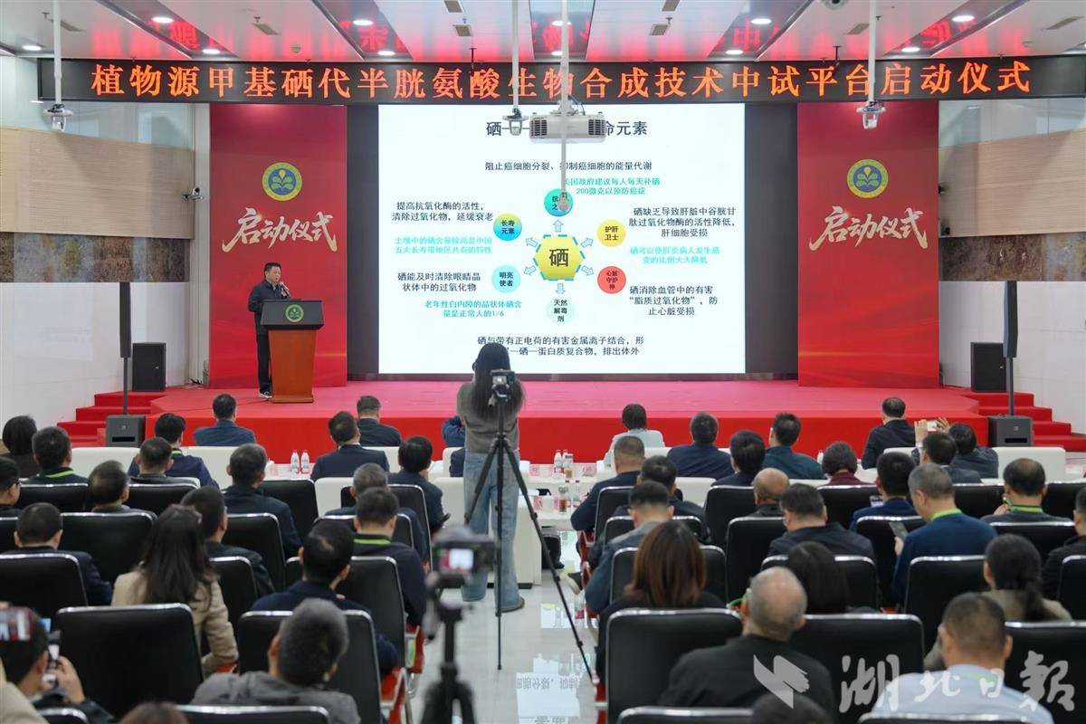 00e647df0bbbde2672ab55e009bbcf41_cb202603291224293528904p6e.jpg 00e647df0bbbde2672ab55e009bbcf41_cb202603291224293528904p6e.jpg