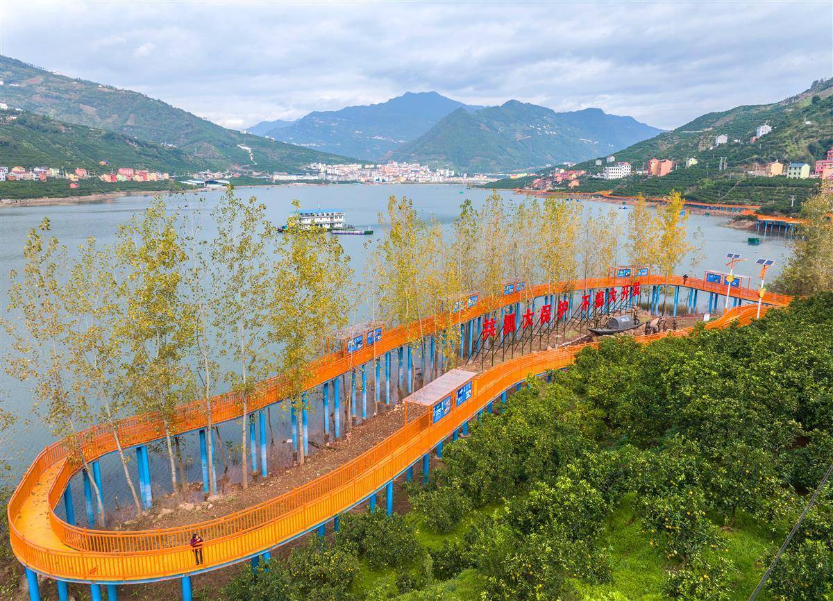 多姿多彩乡村美