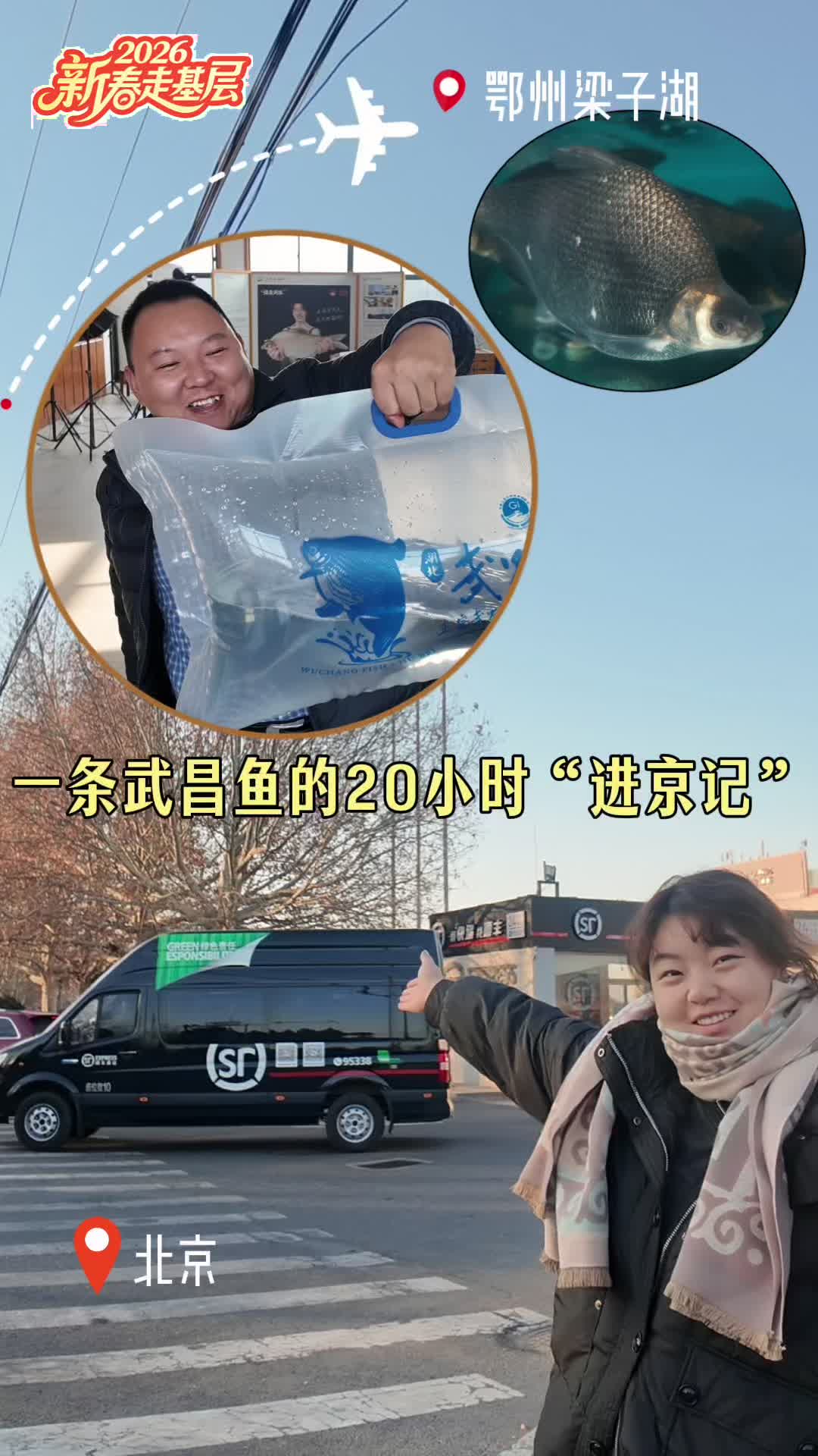 新春走基层｜一条武昌鱼的20小时“进京记”