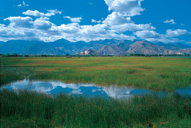 百科世界海拔最高的天然湿地拉鲁湿地
