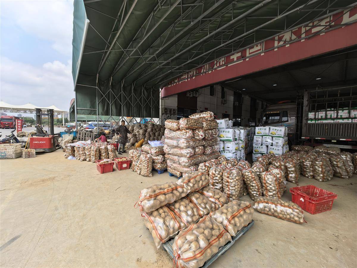 农村资产信用价值贷送来“及时雨”，湖北一亩三分地农产品有限公司大量收购云梦蔬菜，通过首衡城销往全国各地。（湖北日报全媒记者 方桐 摄）.jpg