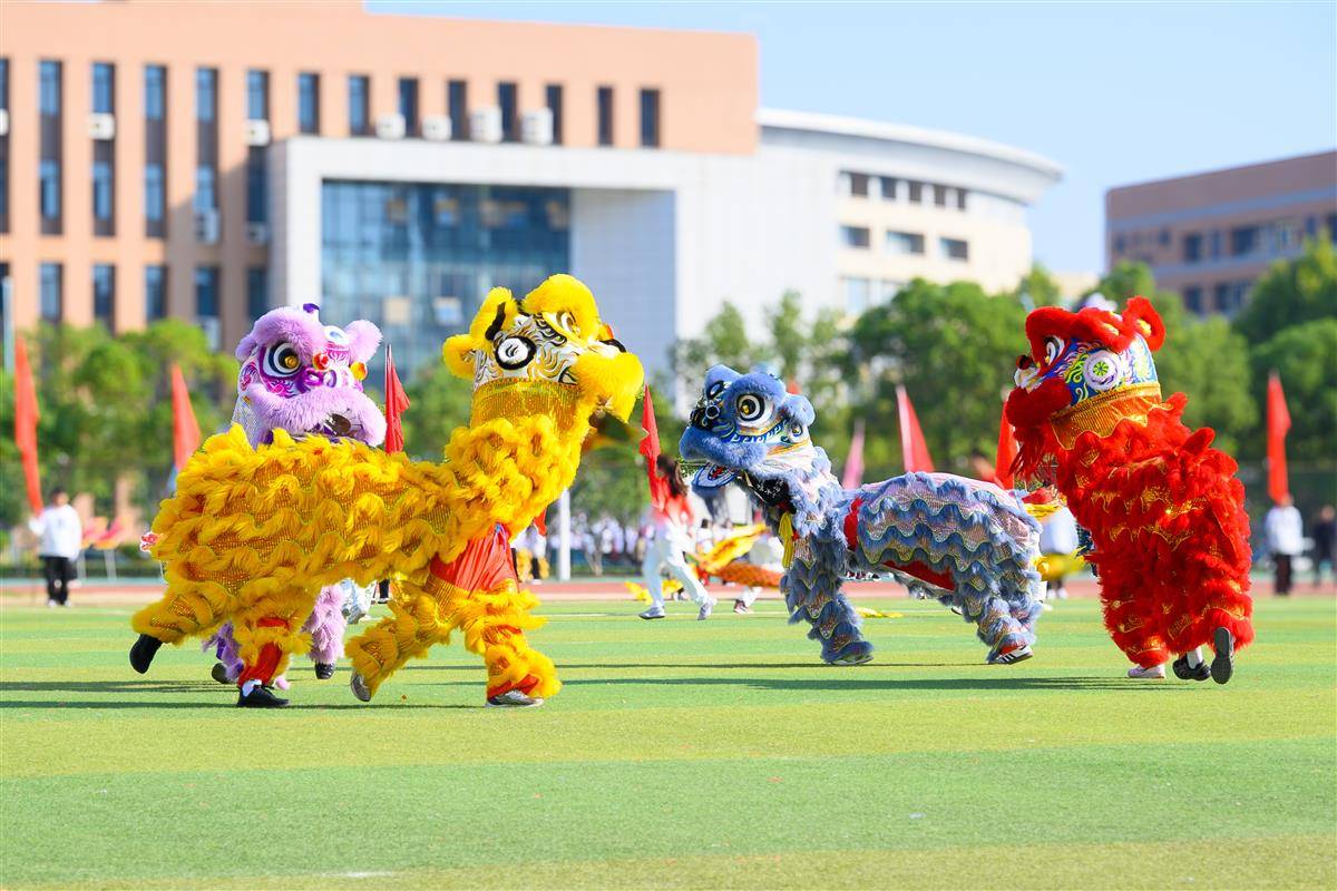 四狮转圈 刘川峰摄.jpg