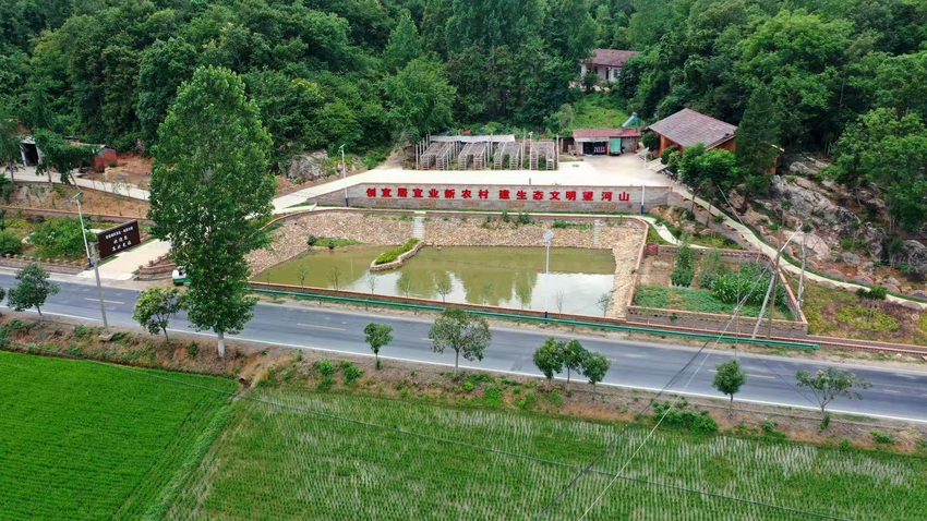 洪山镇:望河山村群策群力,共建洁美家园