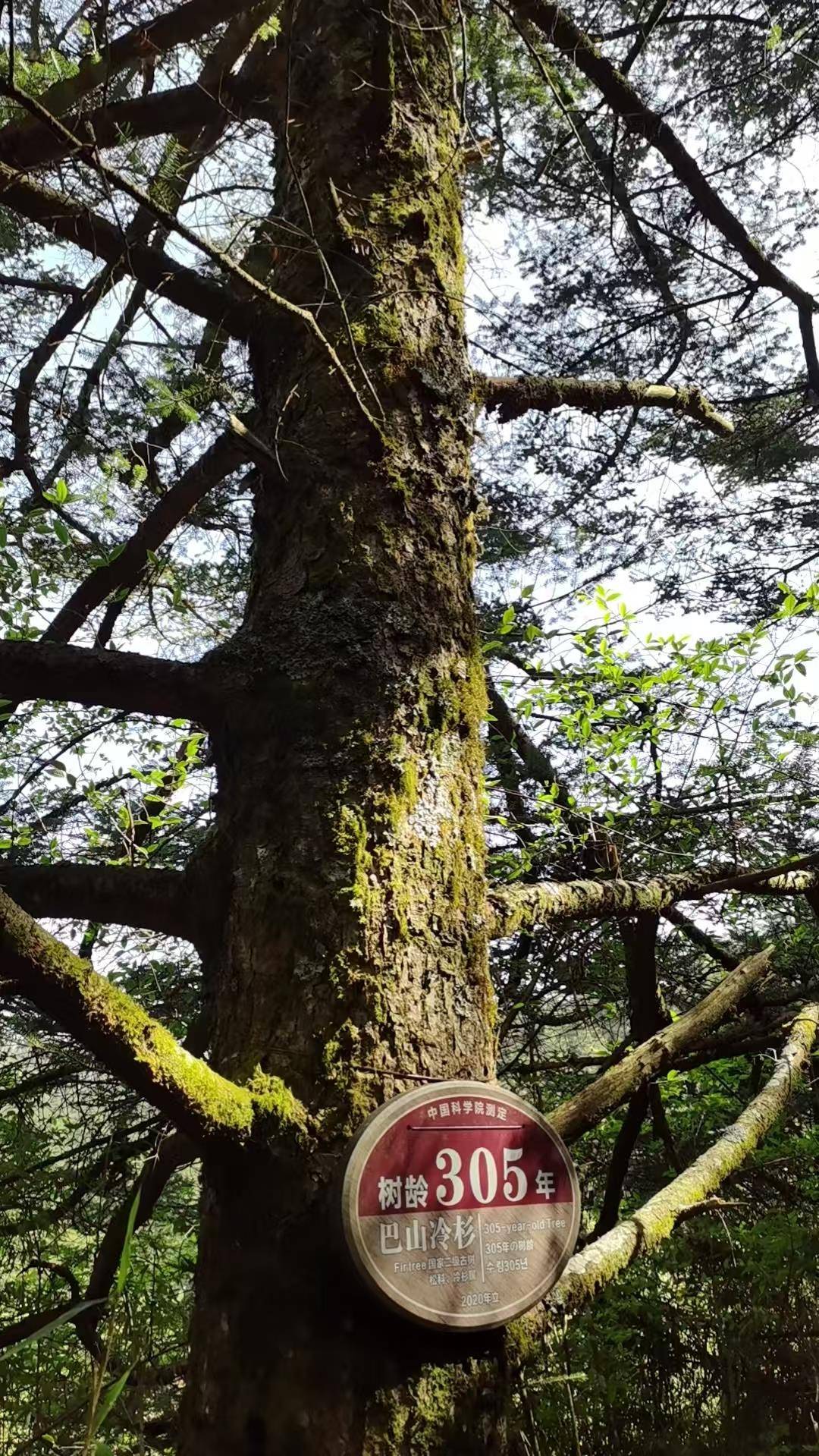 0b23a29b3283afbf8d80059856299379.jpg 0b23a29b3283afbf8d80059856299379.jpg