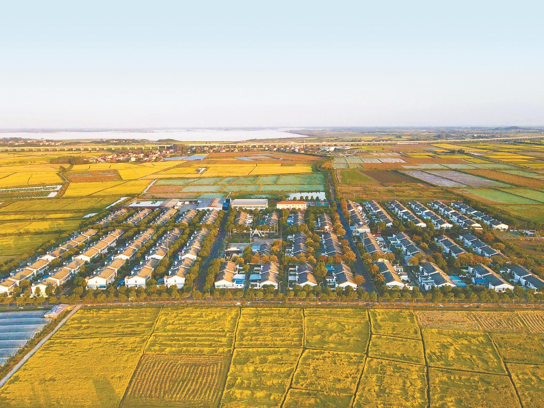 江夏区武当村共建移民新家园共享幸福新生活