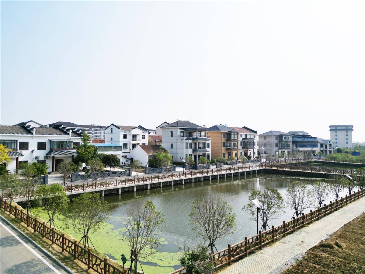 孝南区朋兴片区塘堰美景。.jpg