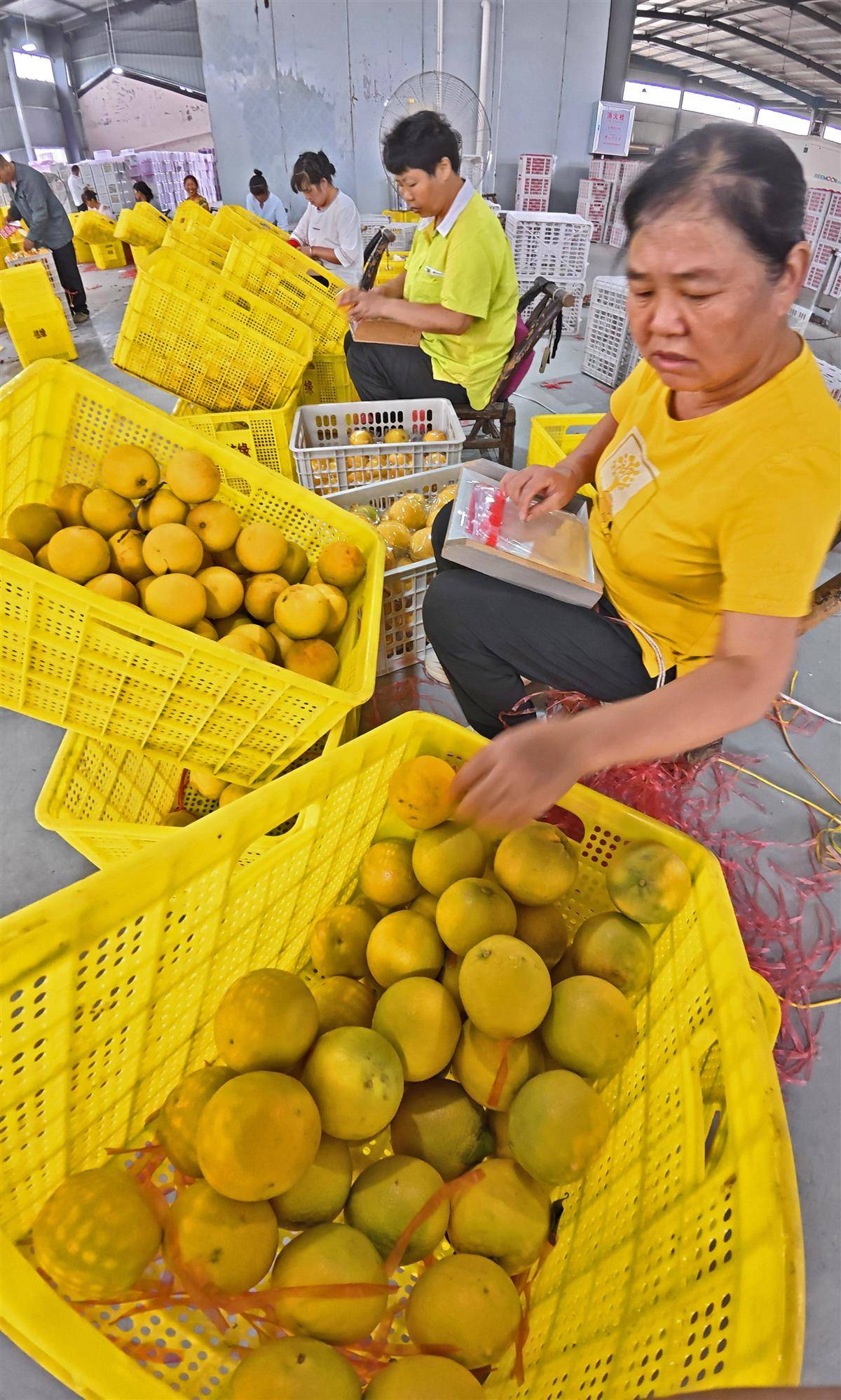 DJI_20250910094348_0005_D.jpg DJI_20250910094348_0005_D.jpg