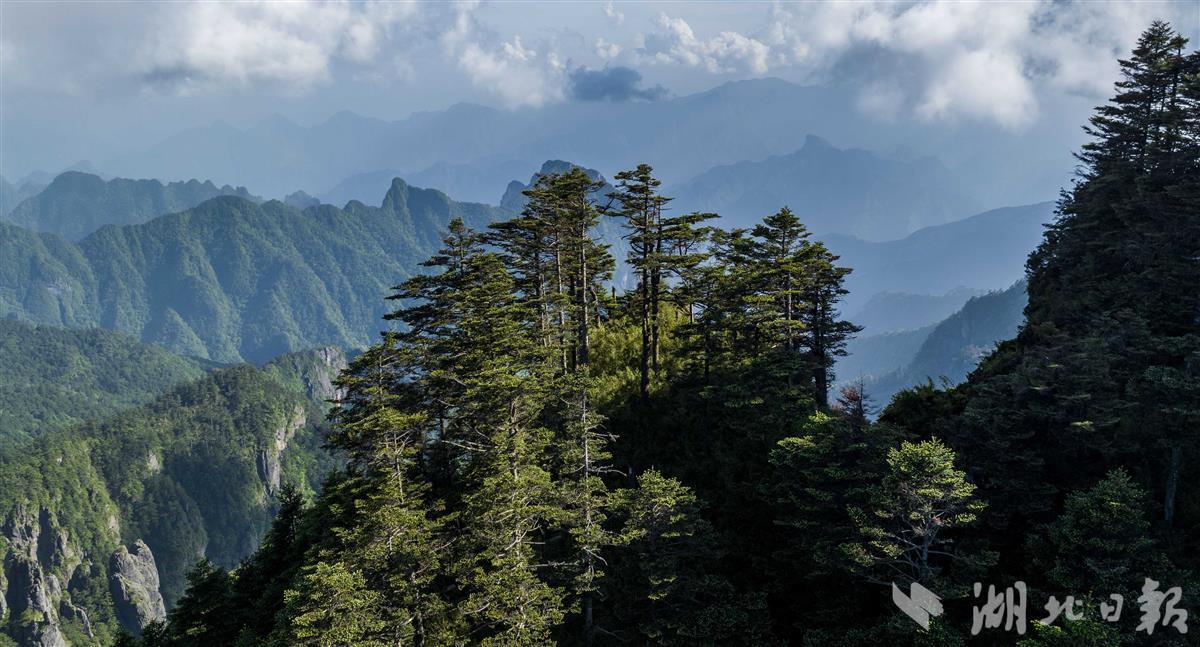 航拍华中屋脊神农架风景美如画