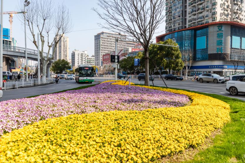 图片 9.png 图片 9.png