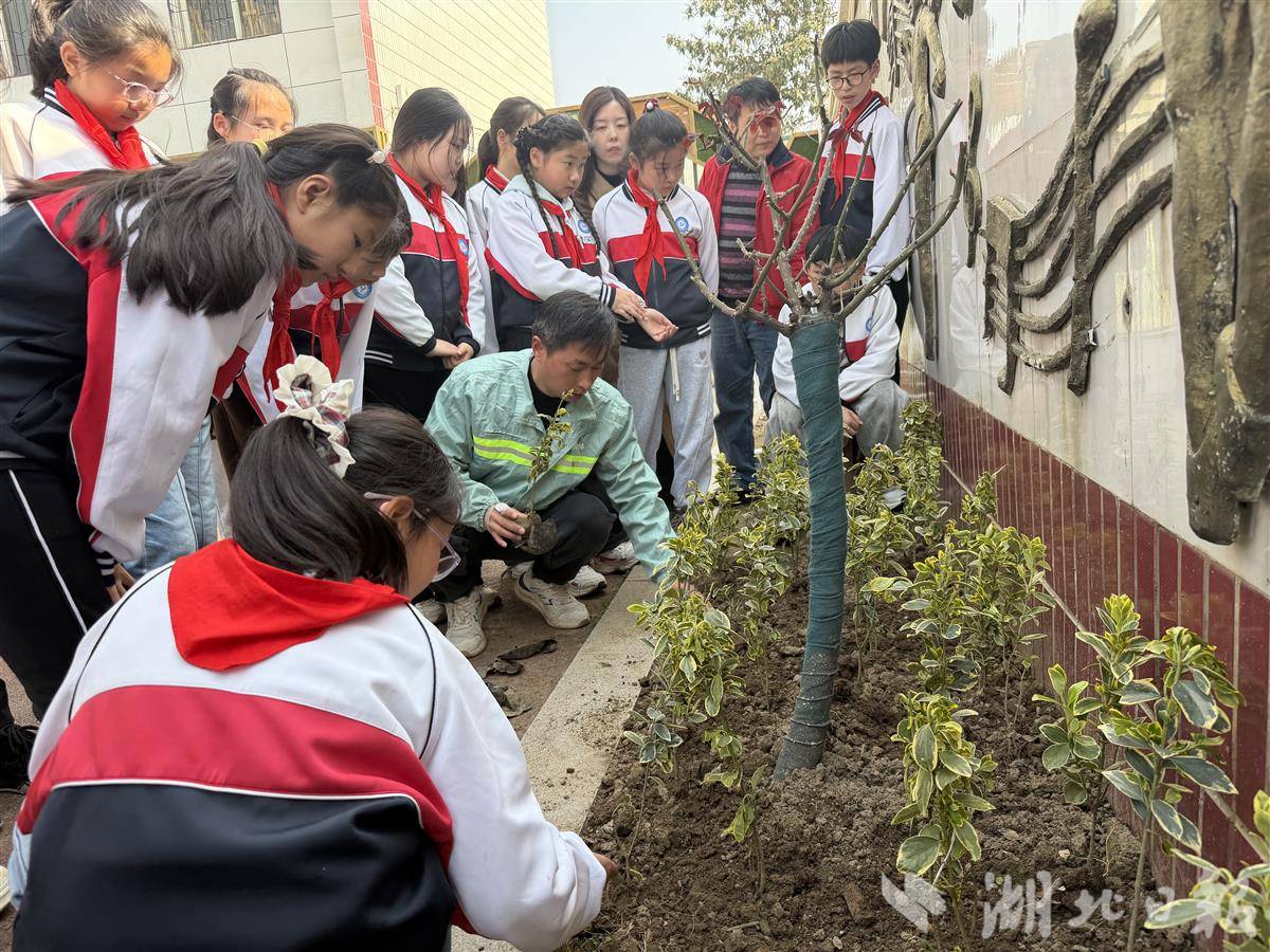 87192ea72998cd08e275a405d065a356.png 87192ea72998cd08e275a405d065a356.png