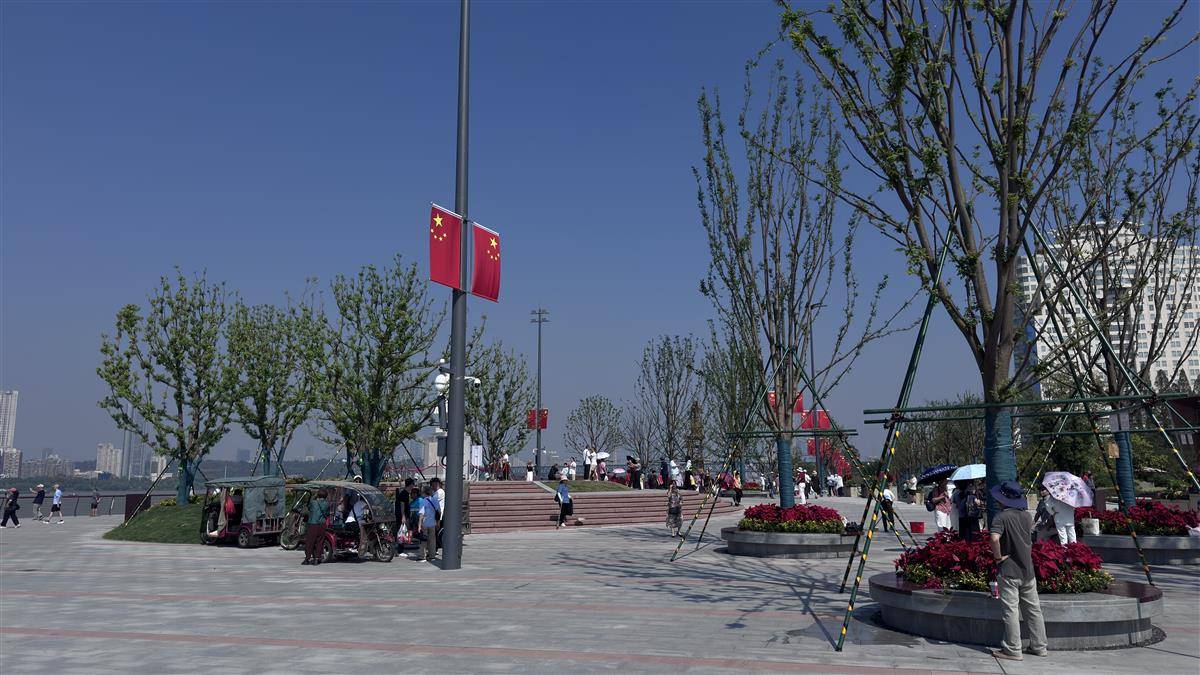 IMG_7450.jpg