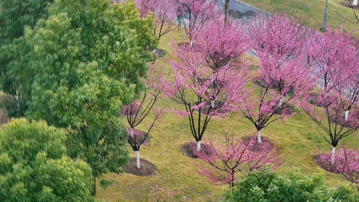 静帧 2026-02-07 082304_1.23.1.jpg