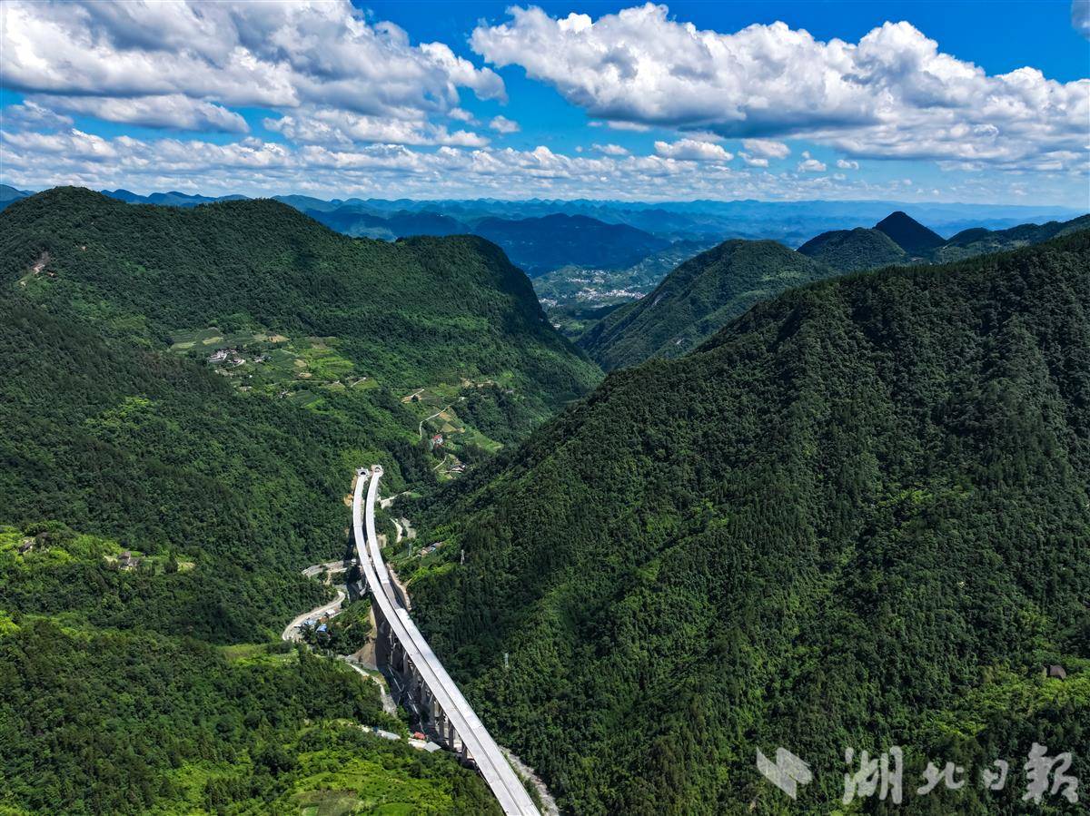 DJI_20250703142449_0260_D.JPG