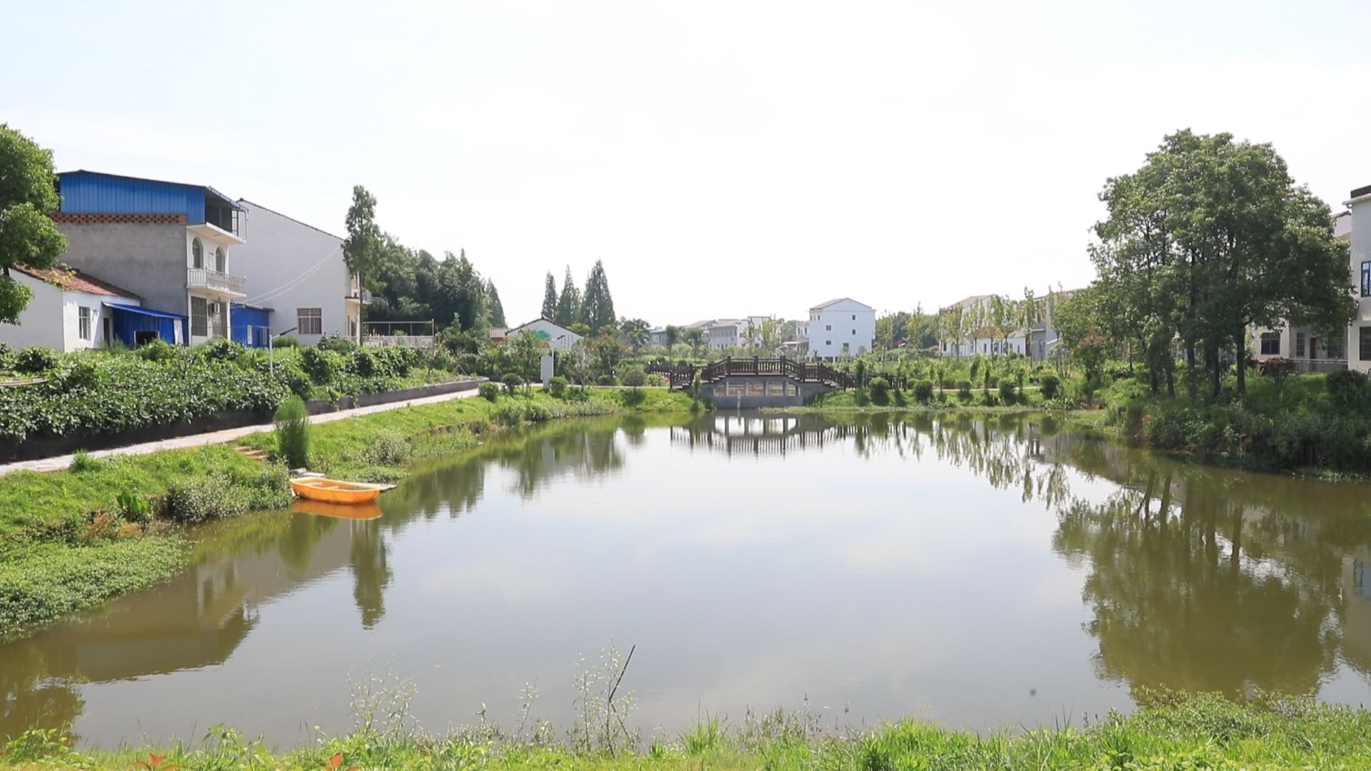 洪湖瞿家湾：披“红”戴“绿” 让老百姓吃上旅游“饭” - 湖北日报新闻客户端
