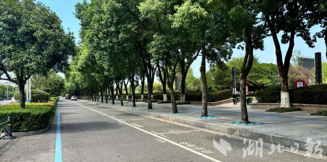 微信图片_20251001134521_410_4.png 微信图片_20251001134521_410_4.png