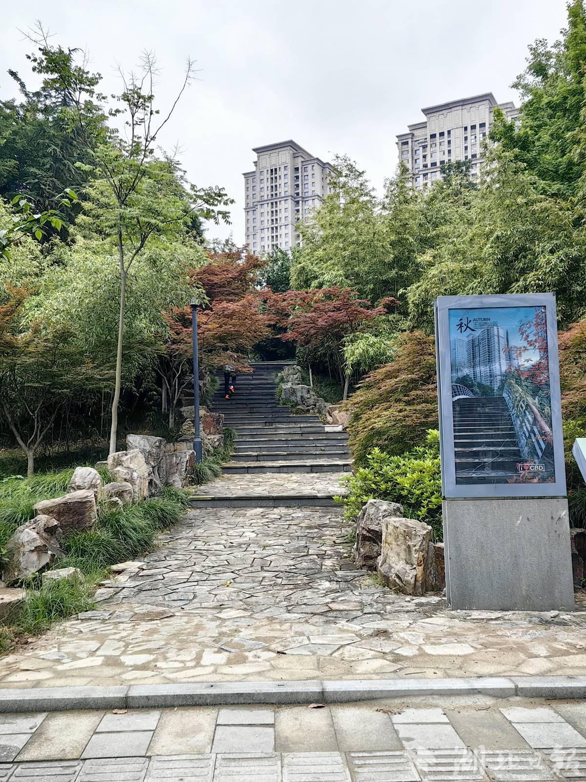 改造后，市民可以沿步道直接进入园区.jpg