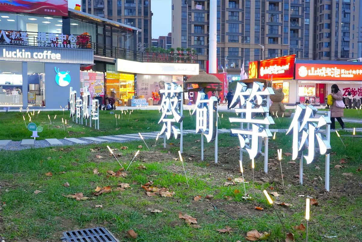 DSC07944.JPG DSC07944.JPG