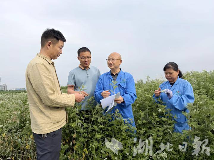图片_3_副本.jpg