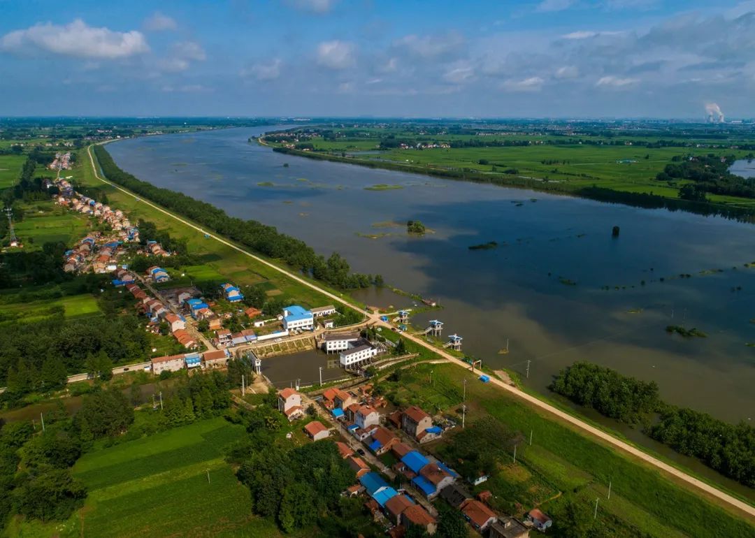 全力以赴"力保安澜" - 湖北日报新闻客户端