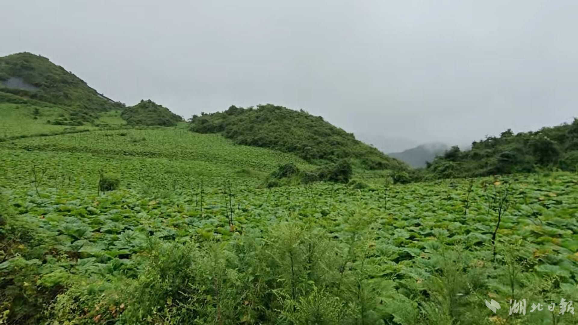 8月21日(7)(1)-封面.jpg 8月21日(7)(1)-封面.jpg