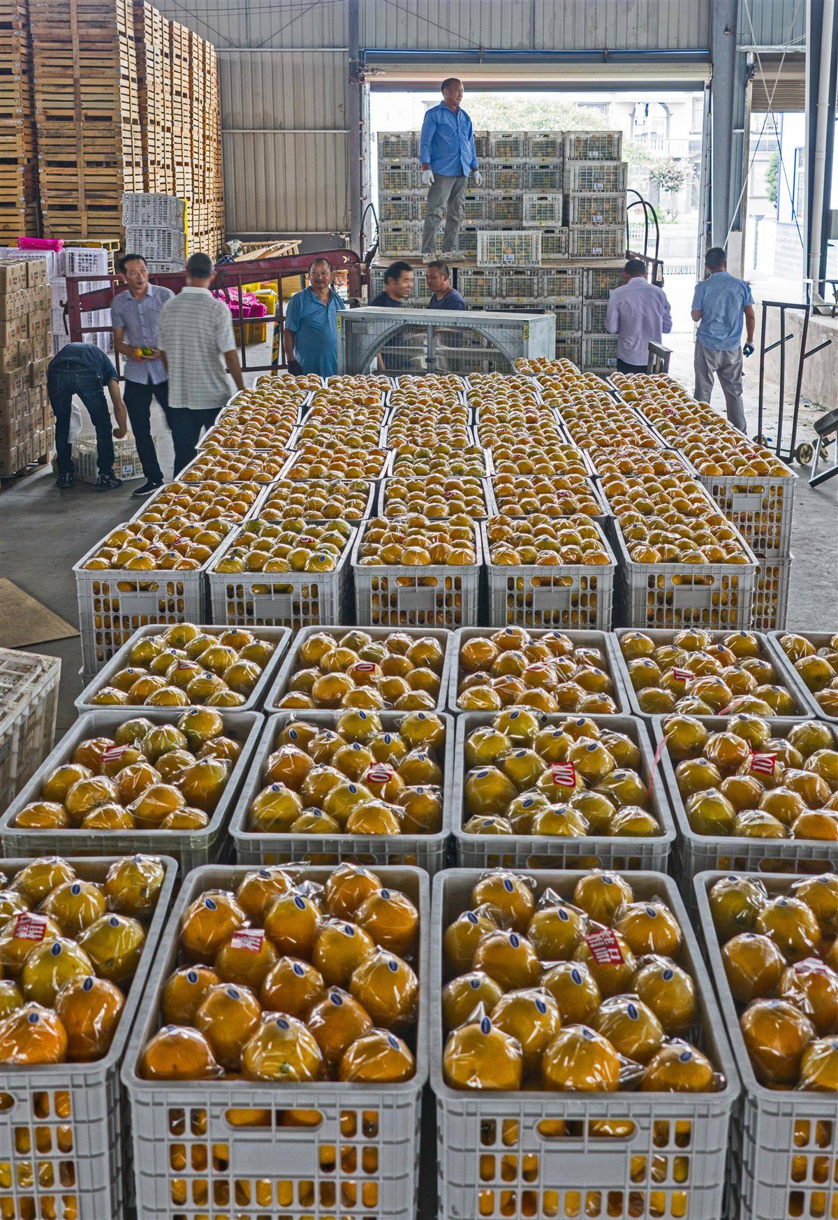 DJI_20250809093325_0012_D.jpg DJI_20250809093325_0012_D.jpg