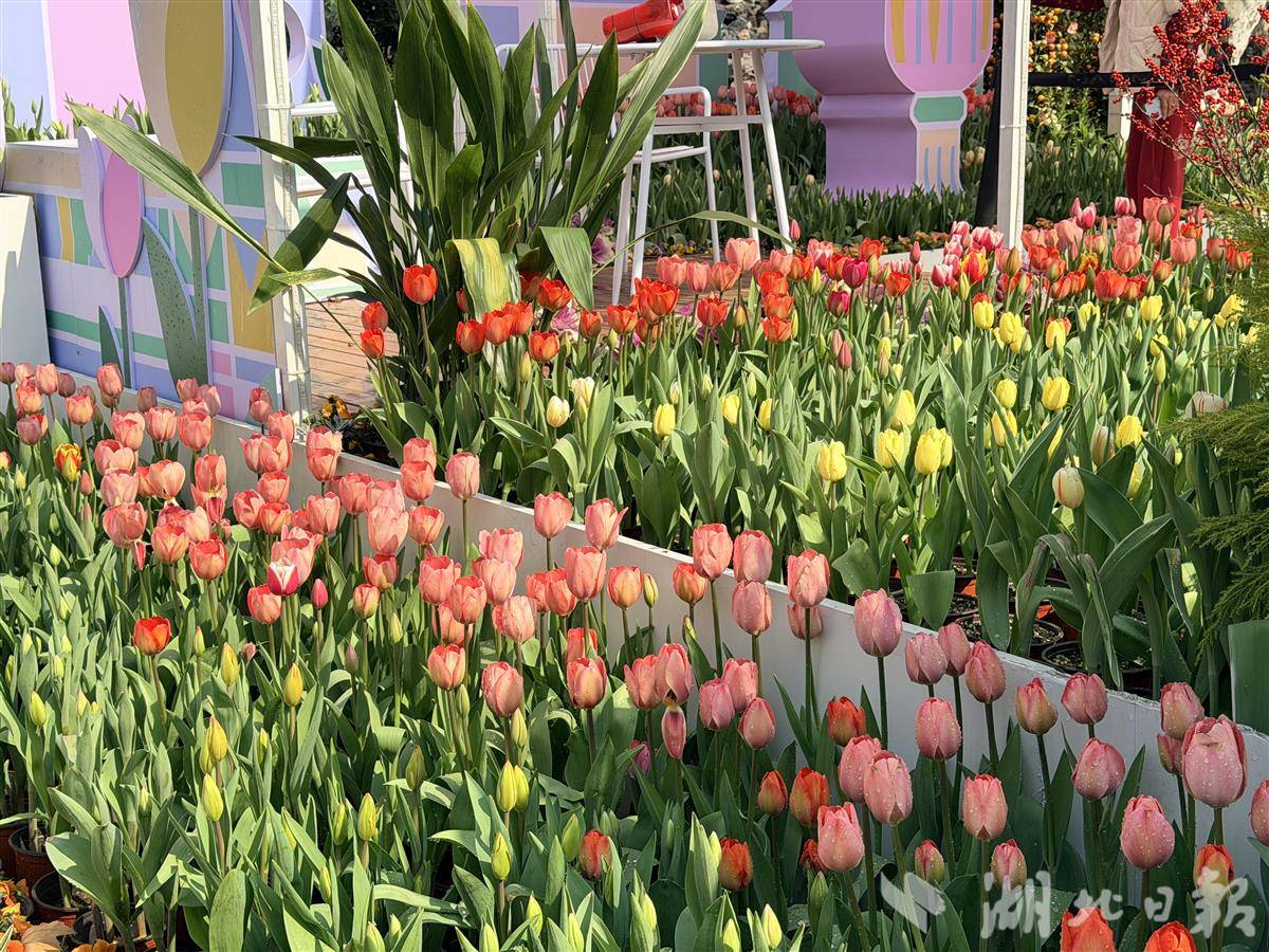 8ade6b33b0ea0b163590bfecf16e8b21.jpg 8ade6b33b0ea0b163590bfecf16e8b21.jpg