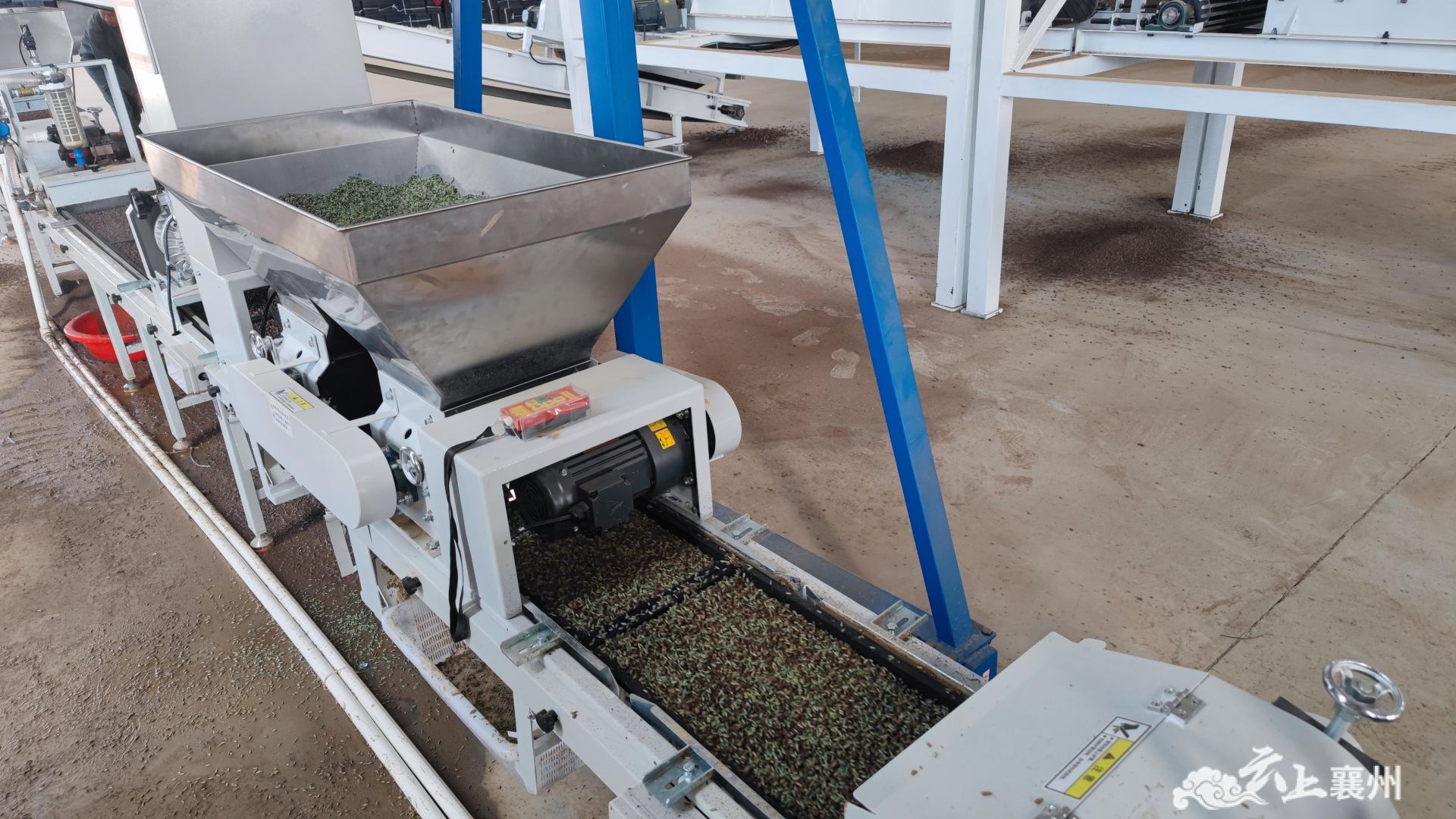 鑫美农农业服务专业合作社全自动机械化水稻育秧生产线上