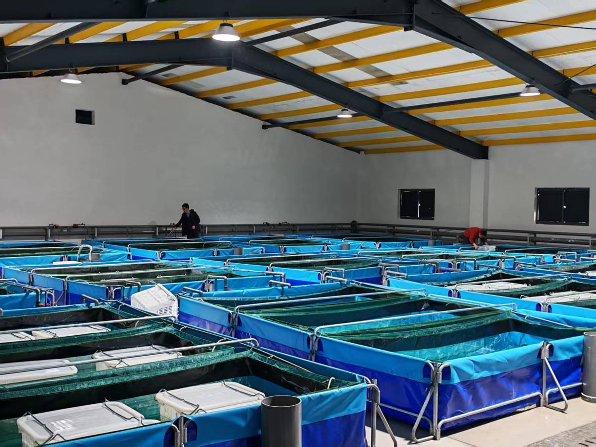 mmexport1775812401062.jpg mmexport1775812401062.jpg