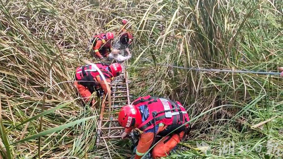 图片11.png 图片11.png