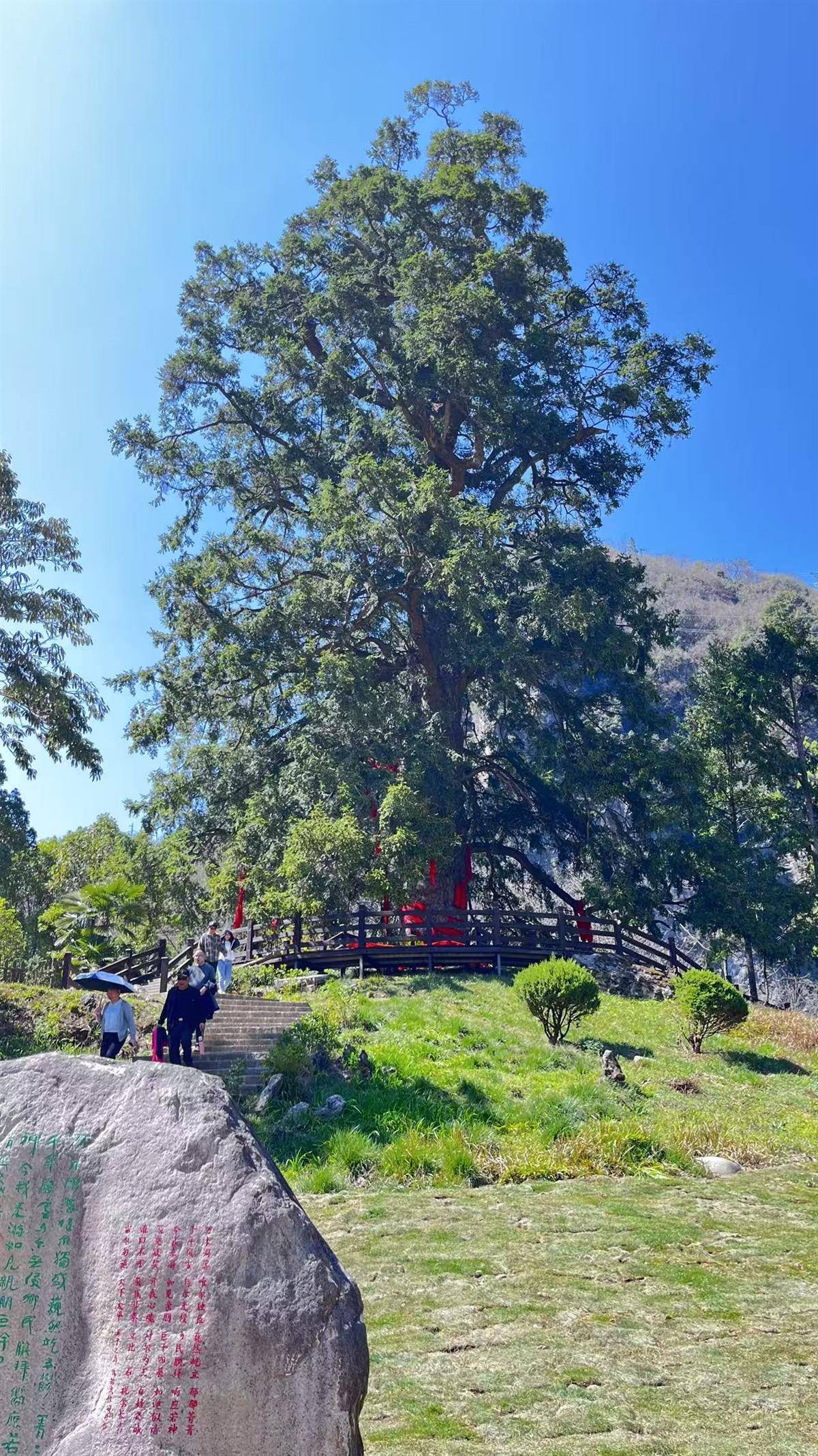 5e28df9990c4da1190cd02c3504500bf.jpg 5e28df9990c4da1190cd02c3504500bf.jpg