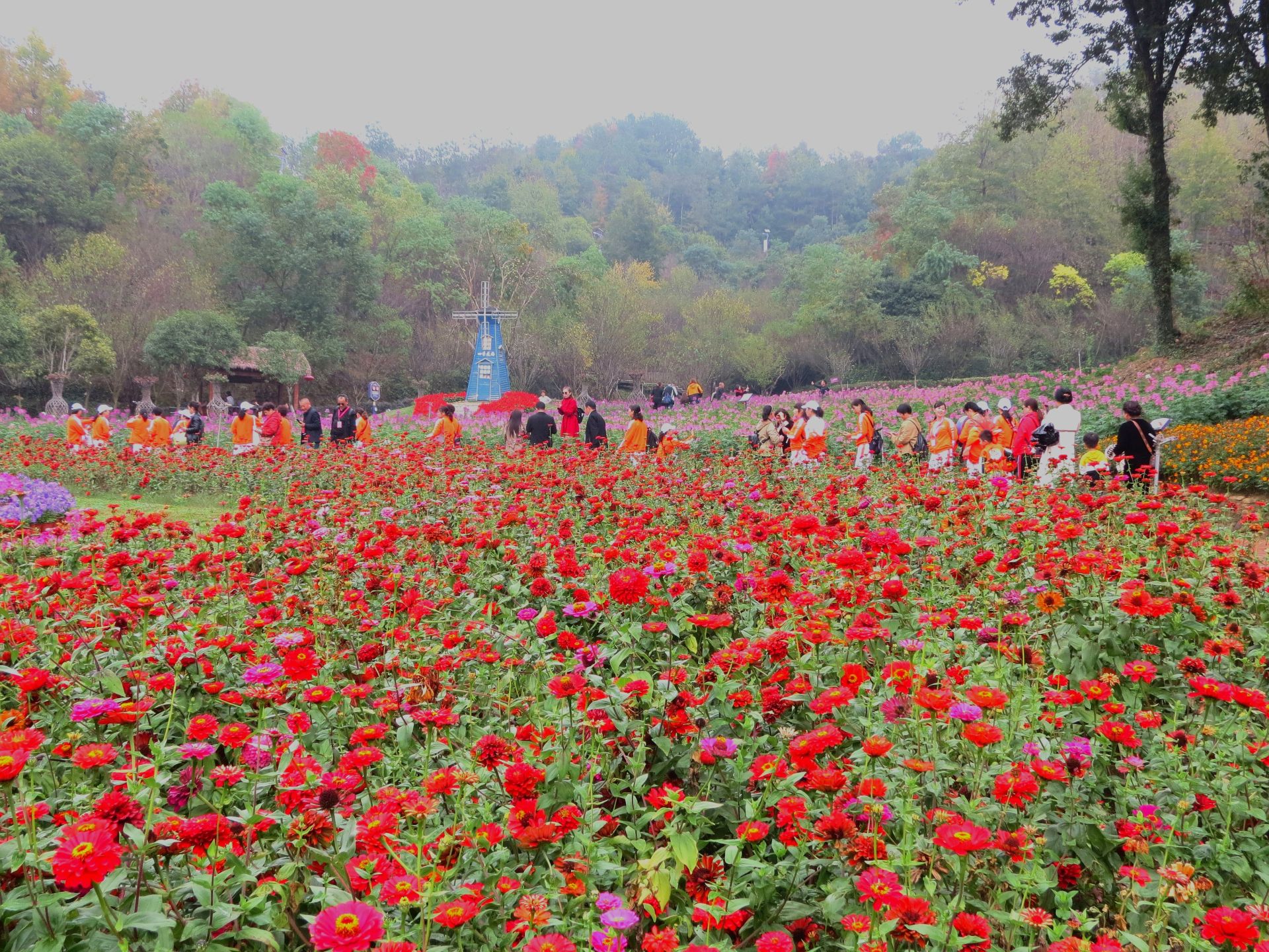 四季花海花似锦 金秋旅游正当时