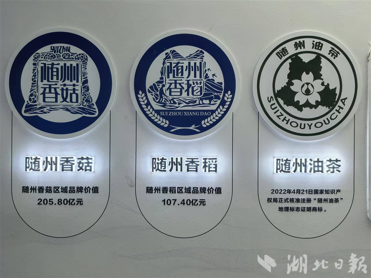 IMG_20250924_123029.jpg IMG_20250924_123029.jpg