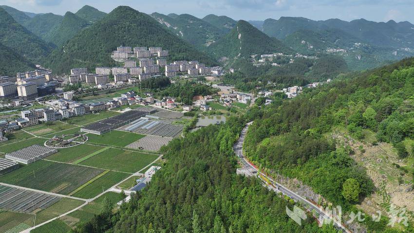 农村致富的门路有哪些(农村致富门路什么项目好?)