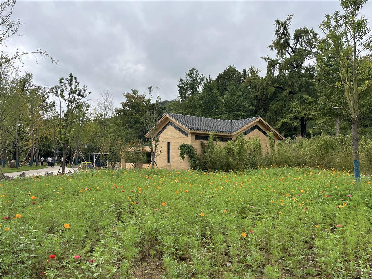 银杏谷景区2.jpg