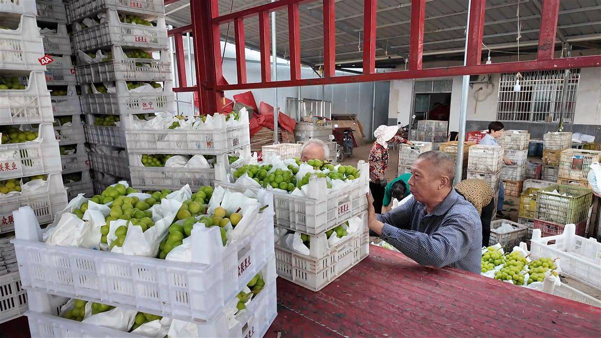 2_proc.jpg 2_proc.jpg