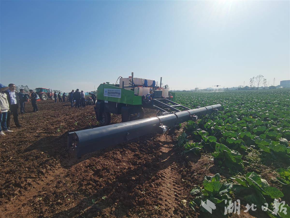 b77d96369ad292b44d22eeec9ad3a998.jpg b77d96369ad292b44d22eeec9ad3a998.jpg