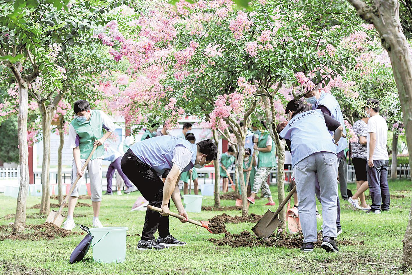 义务植树40载染绿荆楚山川我省森林覆盖率增长2154个百分点