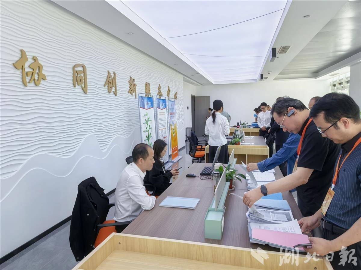 IMG_20250924_123422.jpg IMG_20250924_123422.jpg