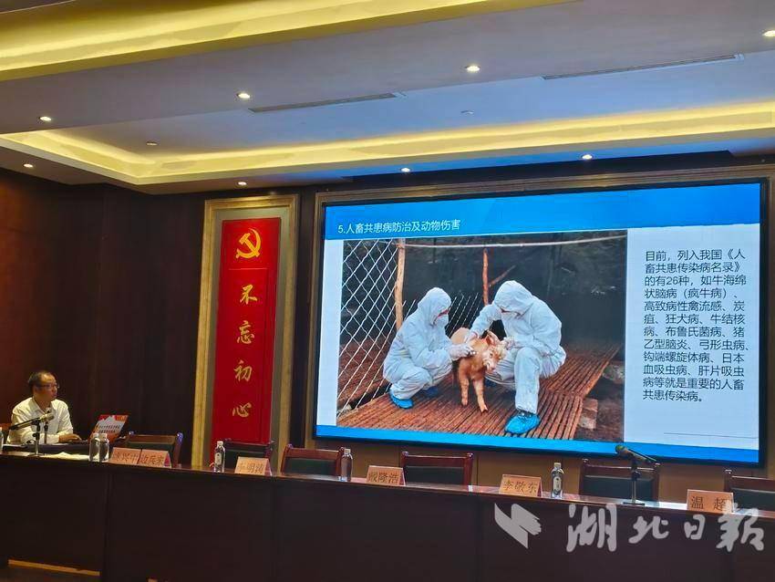 深入推进“五个体系”建设 (2).doc