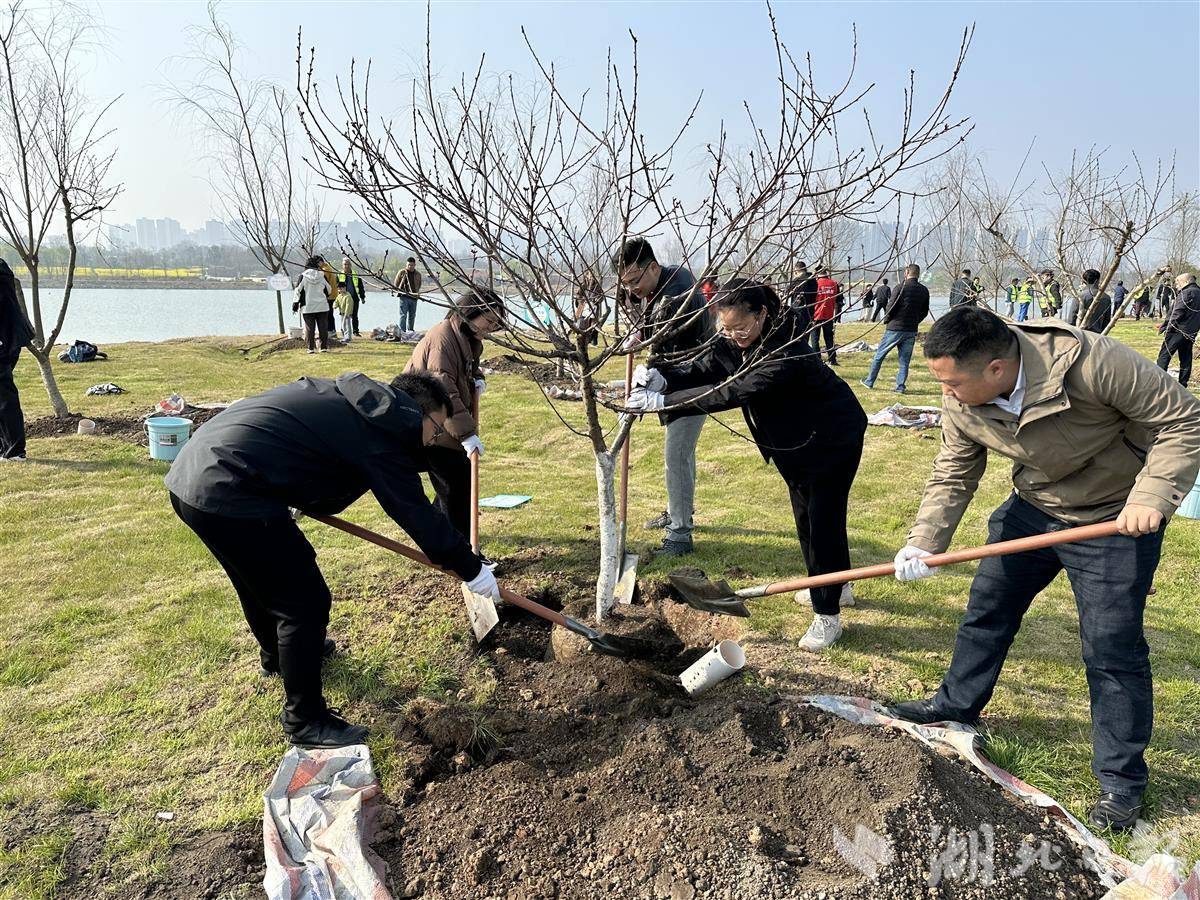 微信图片_20260312110003_15_1244.jpg 微信图片_20260312110003_15_1244.jpg