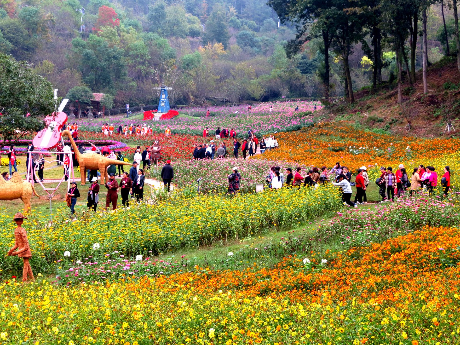 四季花海花似锦 金秋旅游正当时